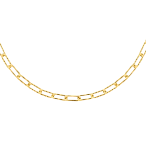 Cocos Island Choker