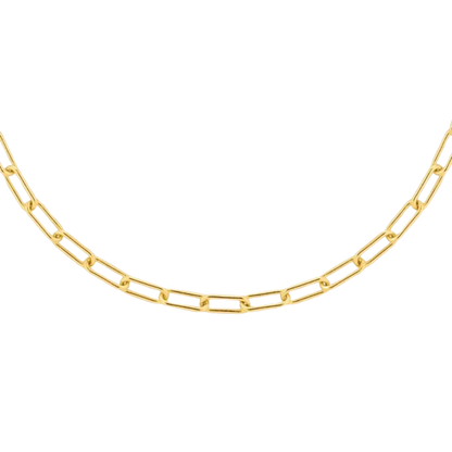 Cocos Island Choker